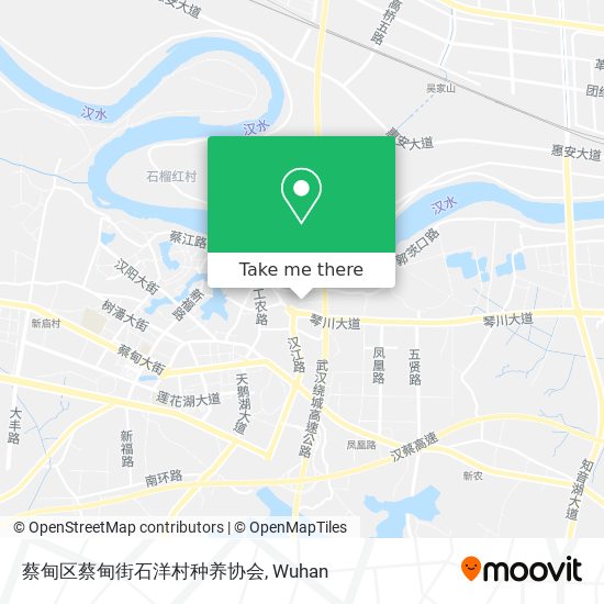 蔡甸区蔡甸街石洋村种养协会 map