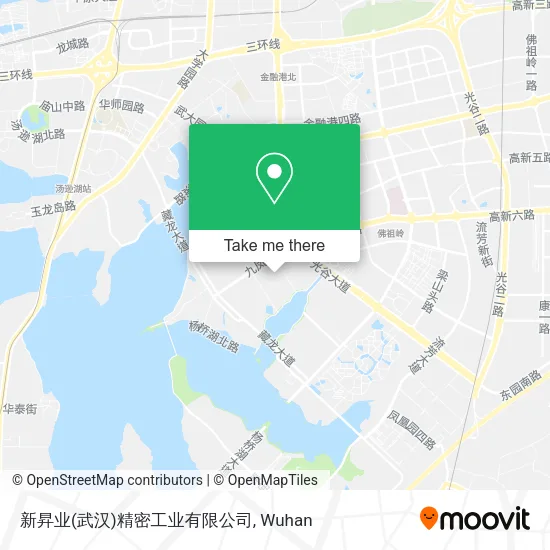 新昇业(武汉)精密工业有限公司 map
