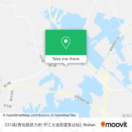 231路(青化路群力村-平江大道阳逻客运站) map