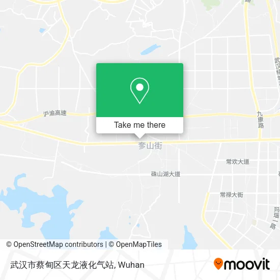 武汉市蔡甸区天龙液化气站 map