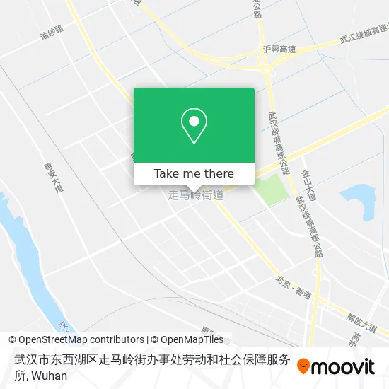 武汉市东西湖区走马岭街办事处劳动和社会保障服务所 map