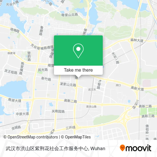 武汉市洪山区紫荆花社会工作服务中心 map