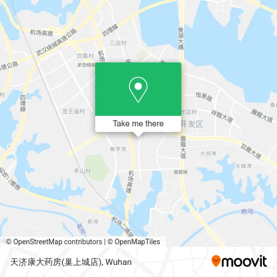 天济康大药房(巢上城店) map