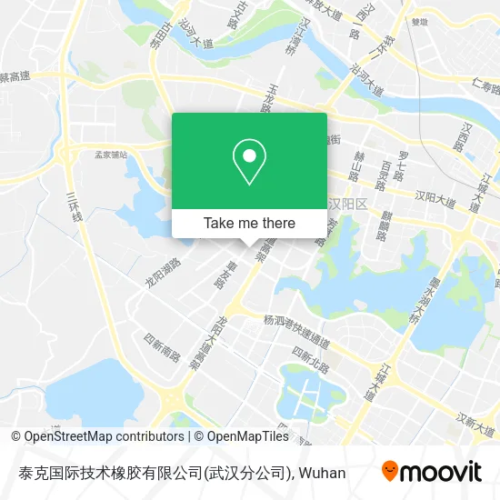 泰克国际技术橡胶有限公司(武汉分公司) map