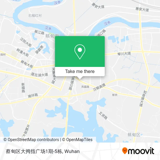 蔡甸区大拇指广场1期-5栋 map