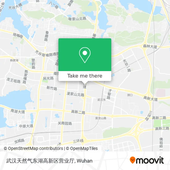 武汉天然气东湖高新区营业厅 map