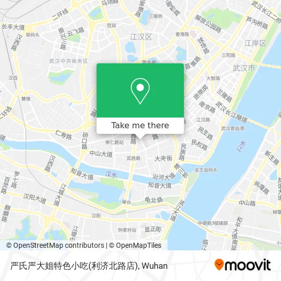 严氏严大姐特色小吃(利济北路店) map