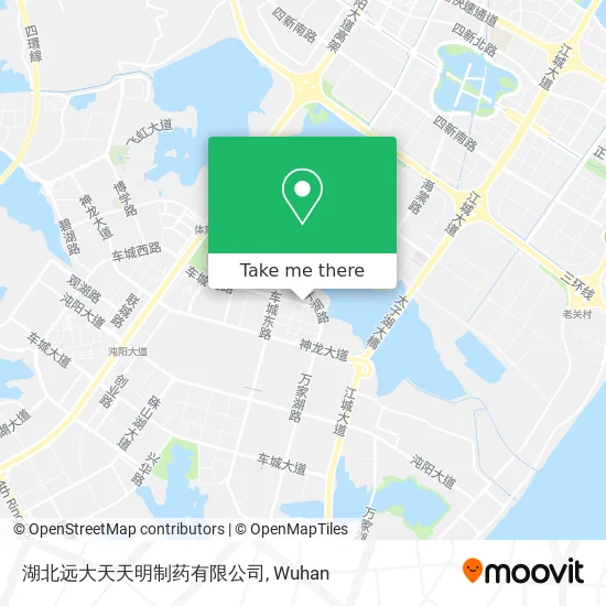 湖北远大天天明制药有限公司 map