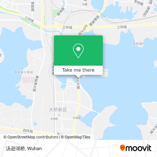 汤逊湖桥 map