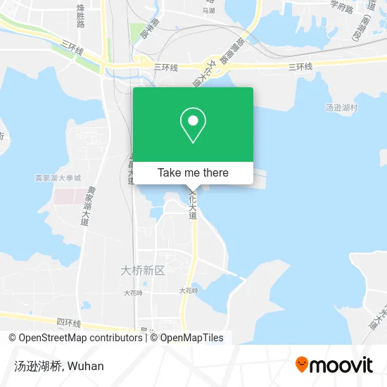 汤逊湖桥 map