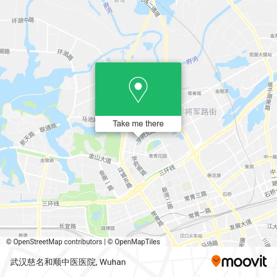 武汉慈名和顺中医医院 map