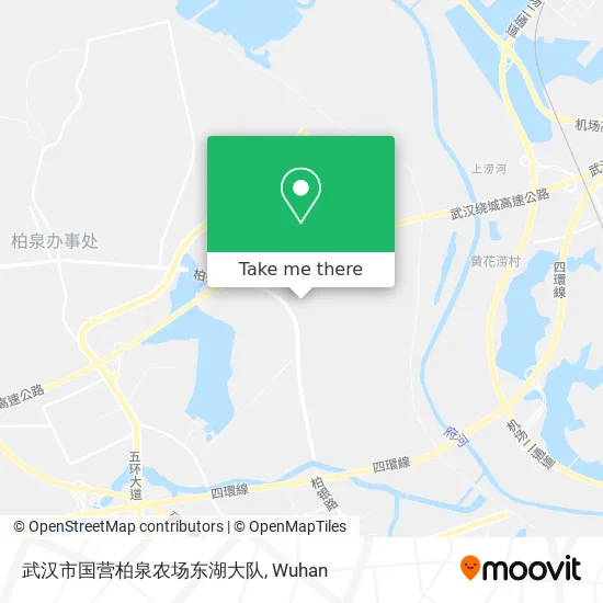 武汉市国营柏泉农场东湖大队 map