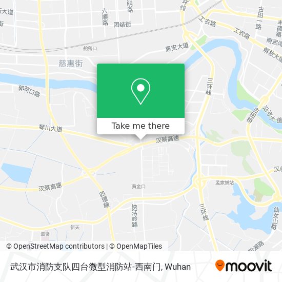 武汉市消防支队四台微型消防站-西南门 map