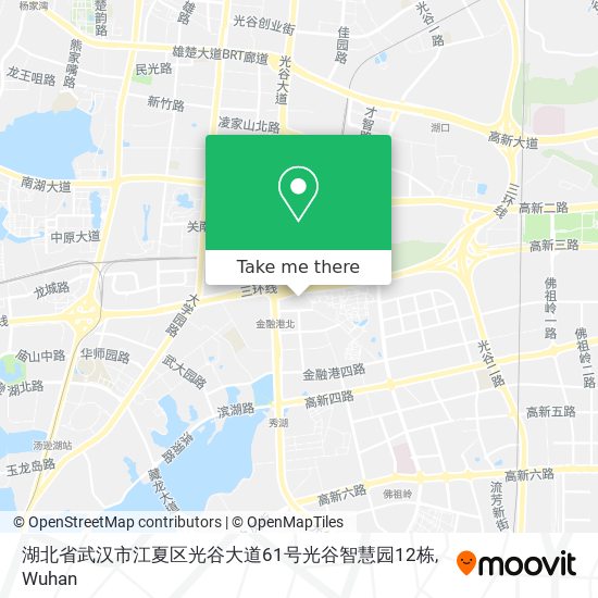 湖北省武汉市江夏区光谷大道61号光谷智慧园12栋 map