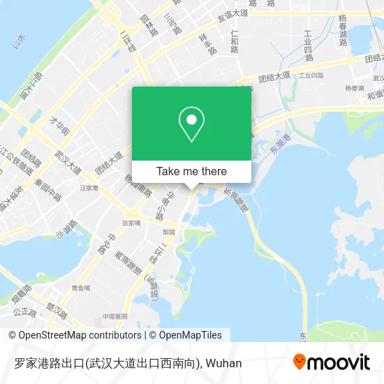 罗家港路出口(武汉大道出口西南向) map