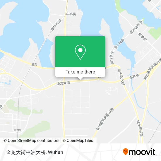 金龙大街中洲大桥 map