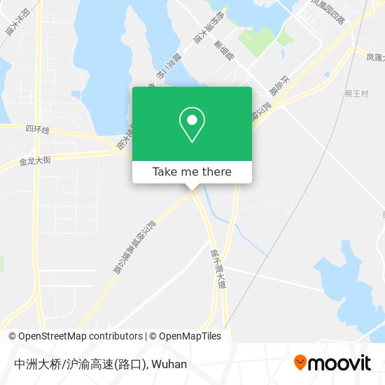 中洲大桥/沪渝高速(路口) map
