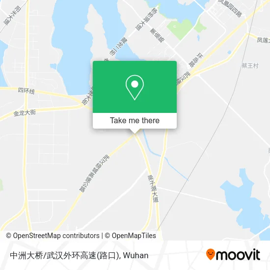 中洲大桥/武汉外环高速(路口) map