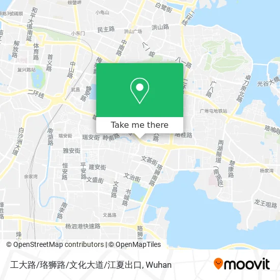 工大路/珞狮路/文化大道/江夏出口 map