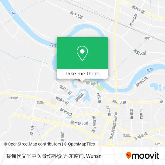 蔡甸代义平中医骨伤科诊所-东南门 map
