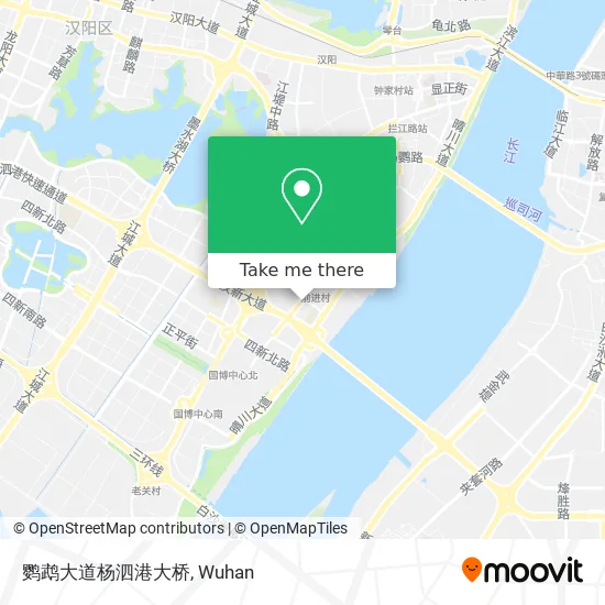 鹦鹉大道杨泗港大桥 map