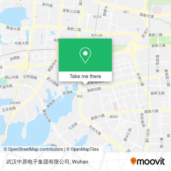 武汉中原电子集团有限公司 map