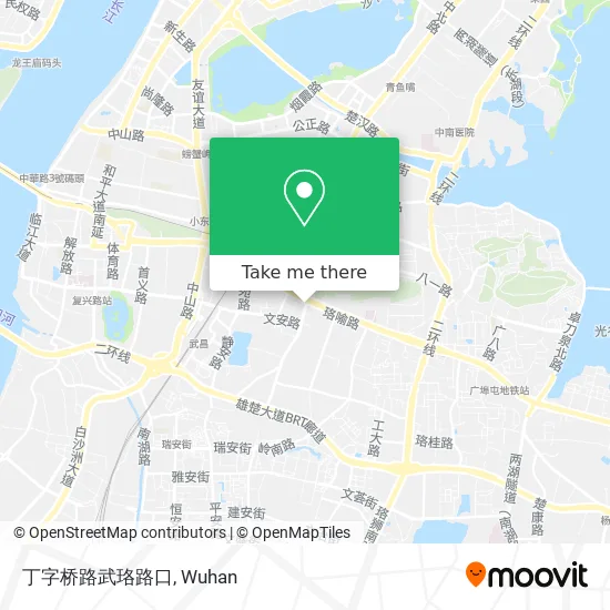 丁字桥路武珞路口 map
