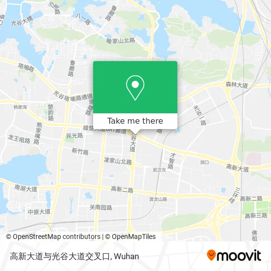 高新大道与光谷大道交叉口 map