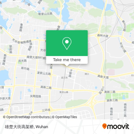 雄楚大街高架桥 map