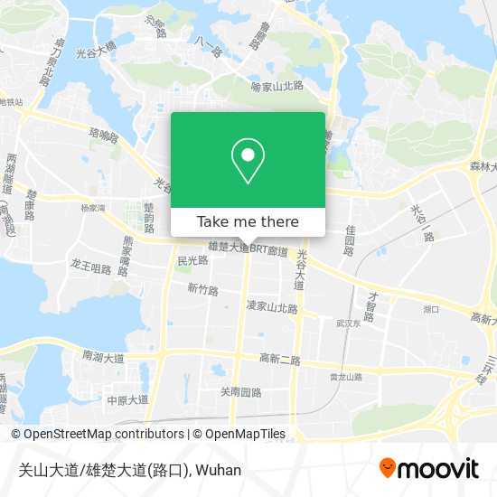 关山大道/雄楚大道(路口) map