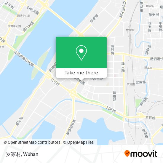 罗家村 map