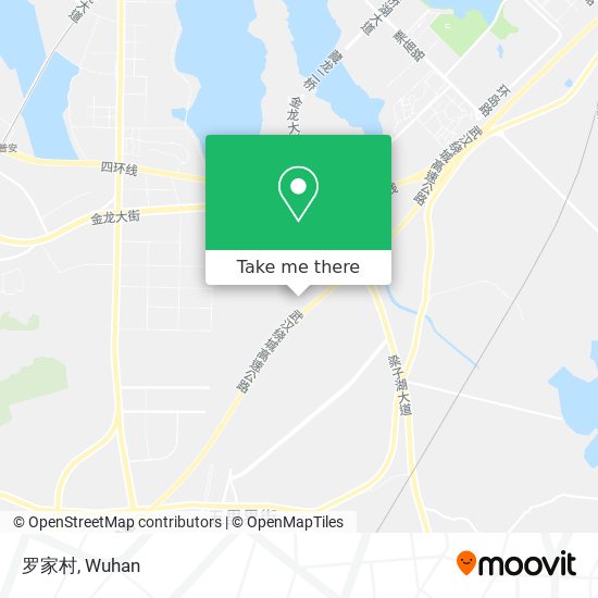 罗家村 map