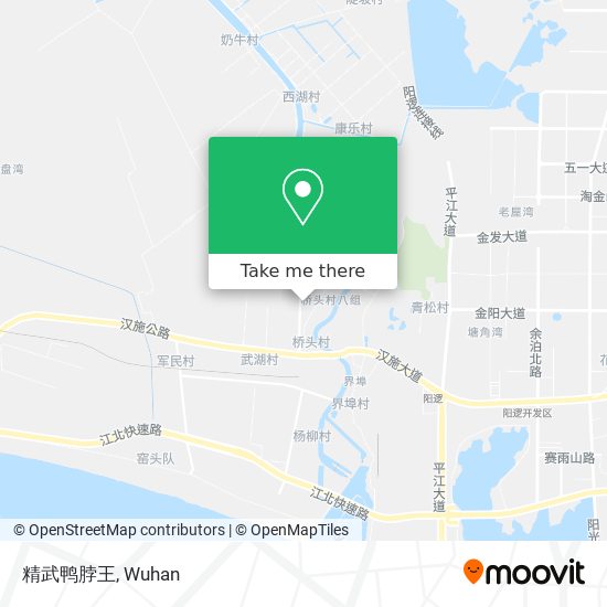精武鸭脖王 map