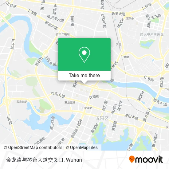 金龙路与琴台大道交叉口 map