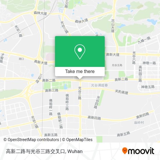 高新二路与光谷三路交叉口 map