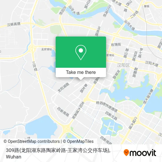 309路(龙阳湖东路陶家岭路-王家湾公交停车场) map