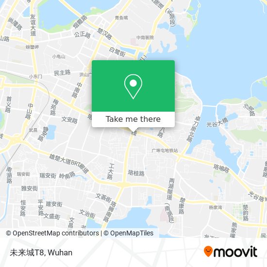 How To Get To 未来城t8 In 洪山区by Metro Or Bus