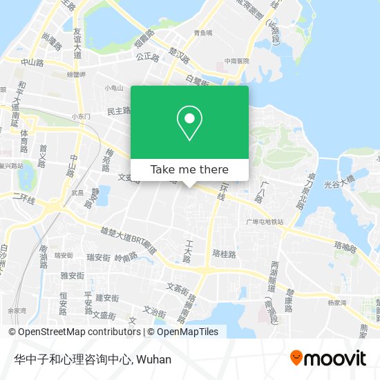 华中子和心理咨询中心 map
