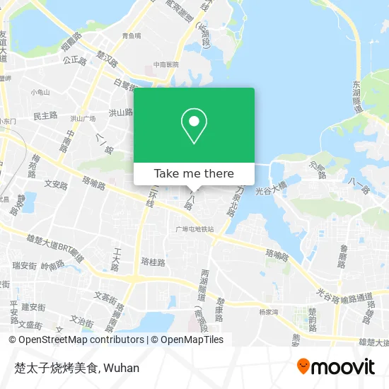 楚太子烧烤美食 map