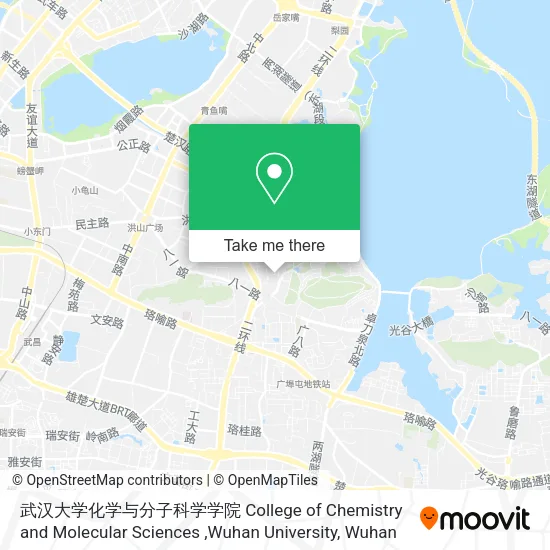 武汉大学化学与分子科学学院 College of Chemistry and Molecular Sciences ,Wuhan University map