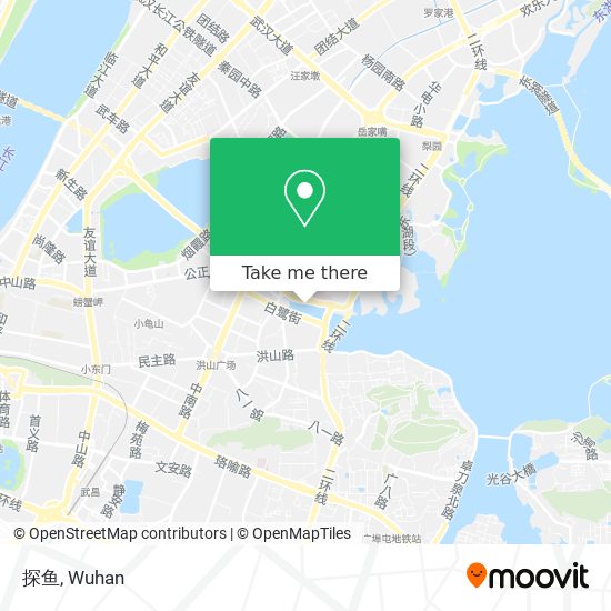 探鱼 map