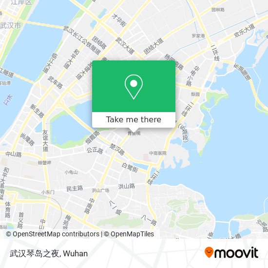 武汉琴岛之夜 map