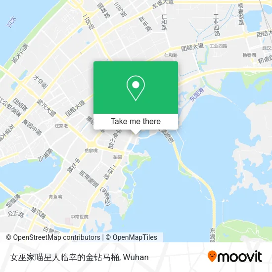 女巫家喵星人临幸的金钻马桶 map