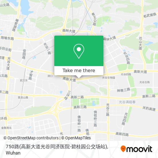 750路(高新大道光谷同济医院-碧桂园公交场站) map