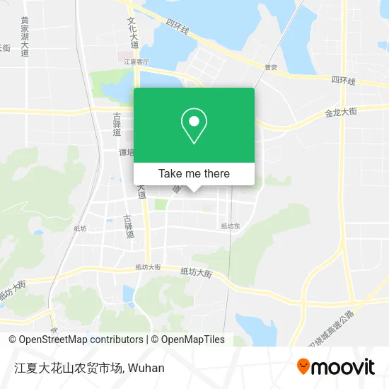 江夏大花山农贸市场 map