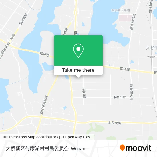 大桥新区何家湖村村民委员会 map