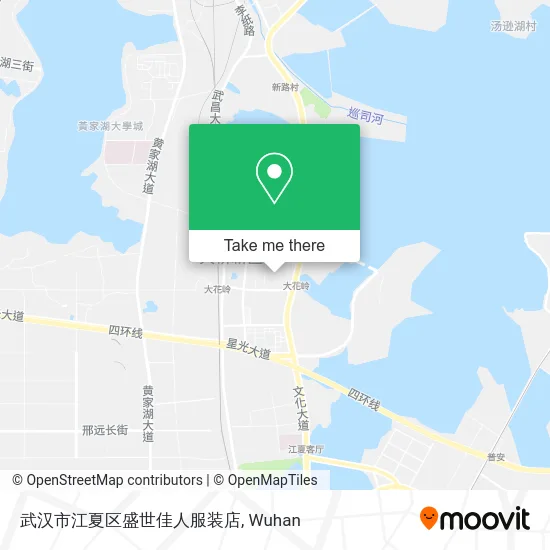 武汉市江夏区盛世佳人服装店 map