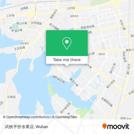 武铁平价水果店 map