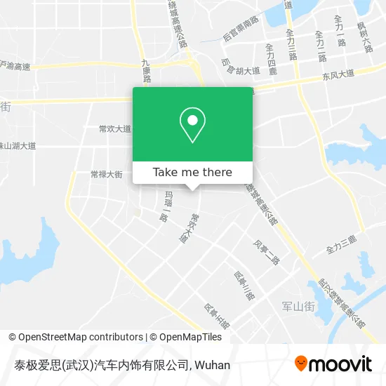 泰极爱思(武汉)汽车内饰有限公司 map