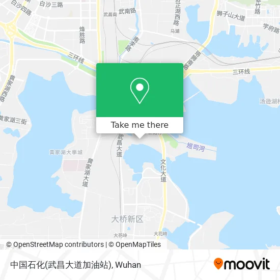 中国石化(武昌大道加油站) map